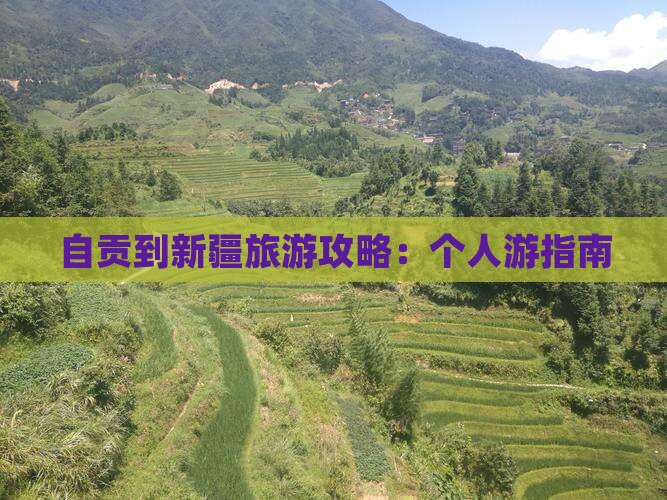 自贡去新疆个人游
