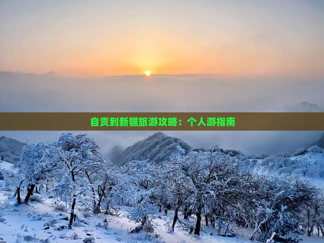 自贡去新疆个人游