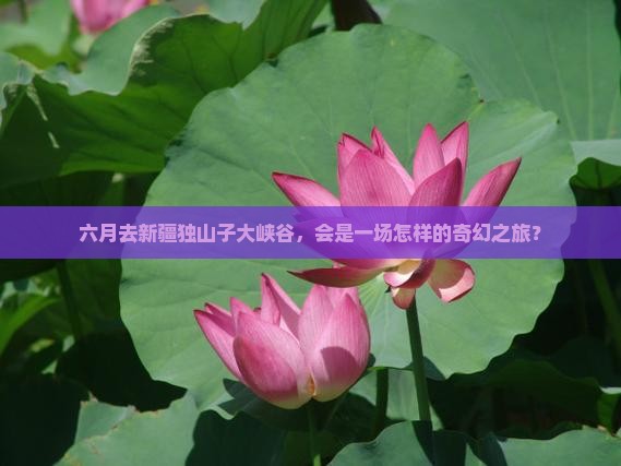 六月到新疆独山子大峡谷四日游