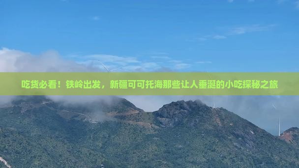 铁岭到新疆可可托海旅游小吃