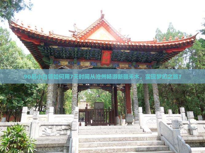沧州去新疆禾木个人游