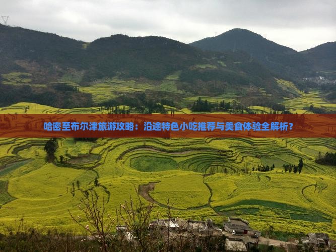 哈密到新疆布尔津旅游小吃