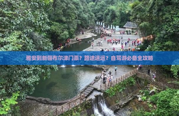 雅安到新疆布尔津门票