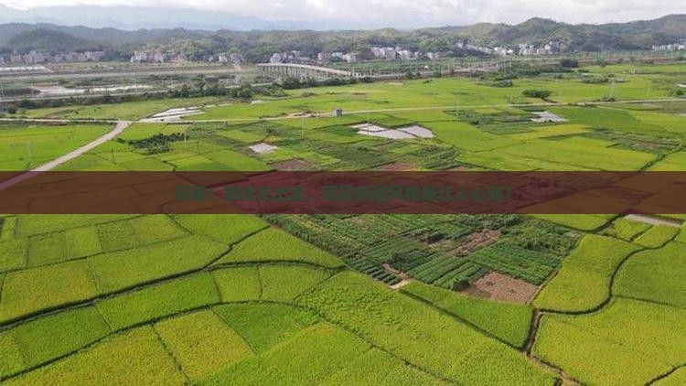 攀枝花到新疆必去地