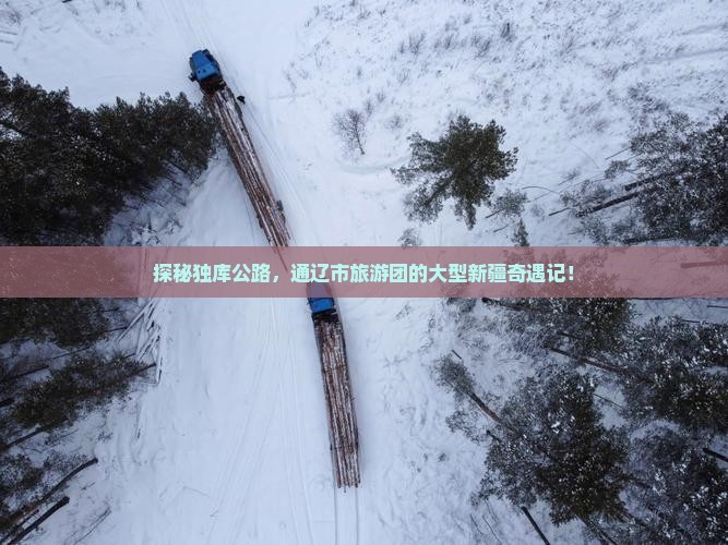 通辽市到新疆独库公路大型旅游团