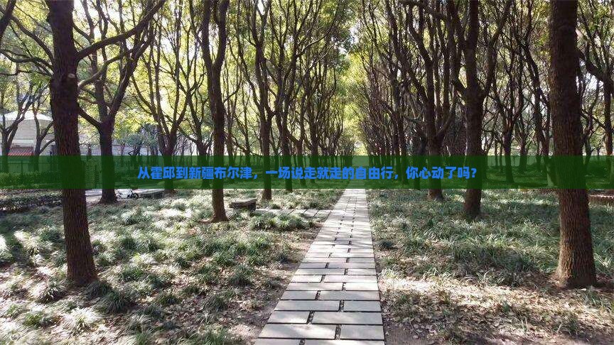 霍邱去新疆布尔津自由行