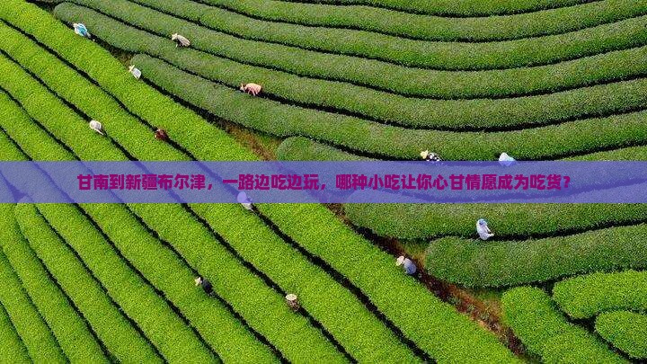 甘南到新疆布尔津旅游小吃