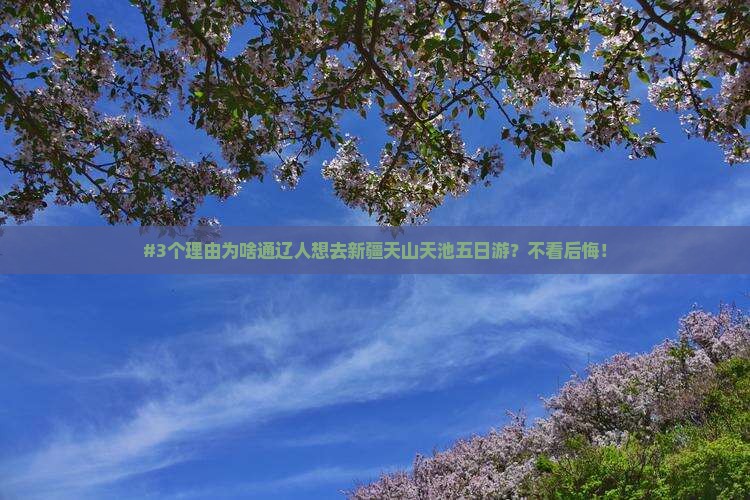 通辽去新疆天山天池五日游