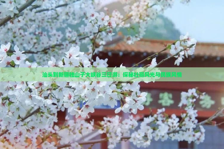 汕头到新疆独山子大峡谷三日游