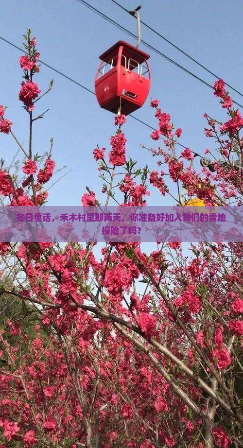 冬天到新疆禾木二日游