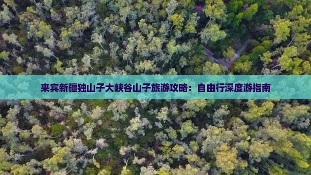 来宾去新疆独山子大峡谷自由行