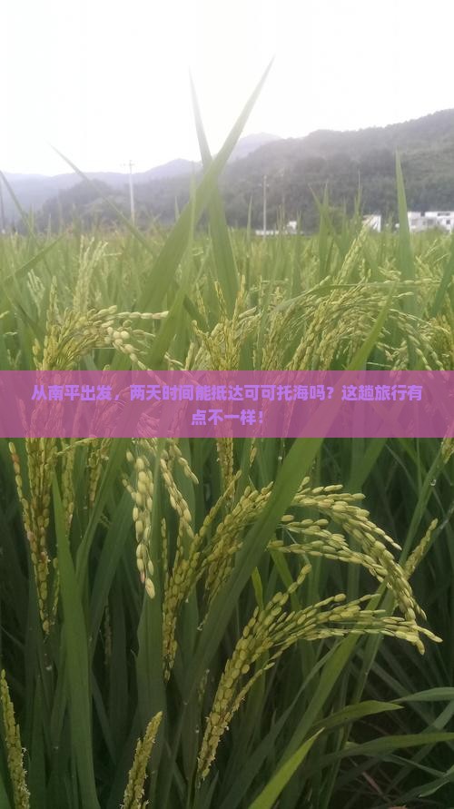 南平到新疆可可托海二日游
