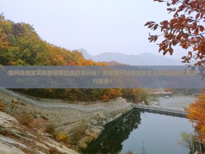 宜宾到新疆那拉提旅行社