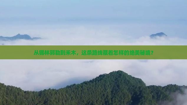 锡林郭勒盟到新疆禾木自由团