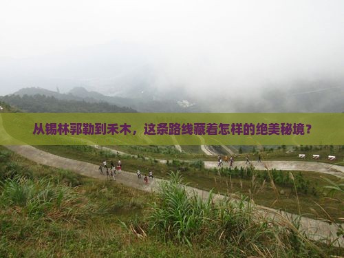 锡林郭勒盟到新疆禾木自由团
