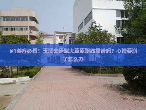 玉溪去新疆伊犁大草原旅行社
