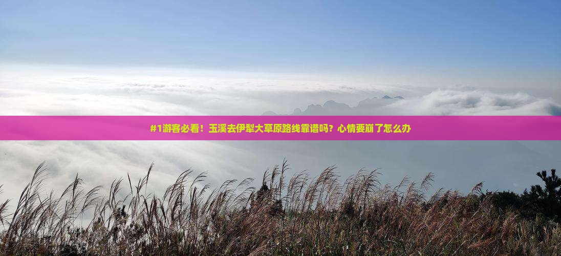 玉溪去新疆伊犁大草原旅行社