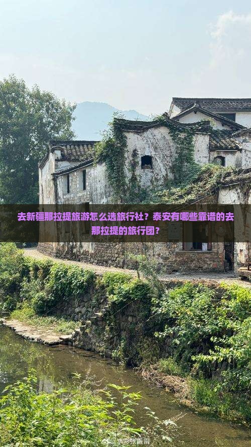 泰安去新疆那拉提旅行社