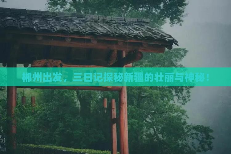 郴州到新疆三日游