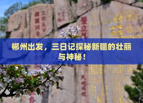 郴州到新疆三日游