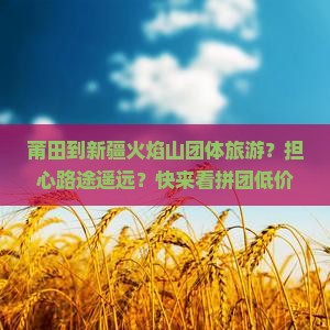 莆田到新疆火焰山团体旅游