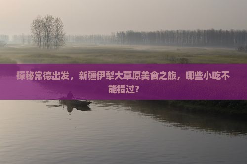 常德到新疆伊犁大草原旅游小吃
