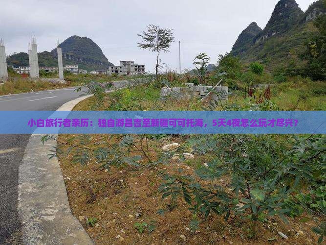 昌吉去新疆可可托海个人游