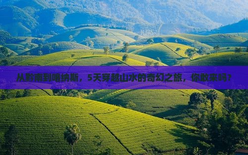 黔南到新疆喀纳斯五日游