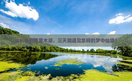 长春去新疆赛里木湖三日游 长春去新疆赛里木湖三日游