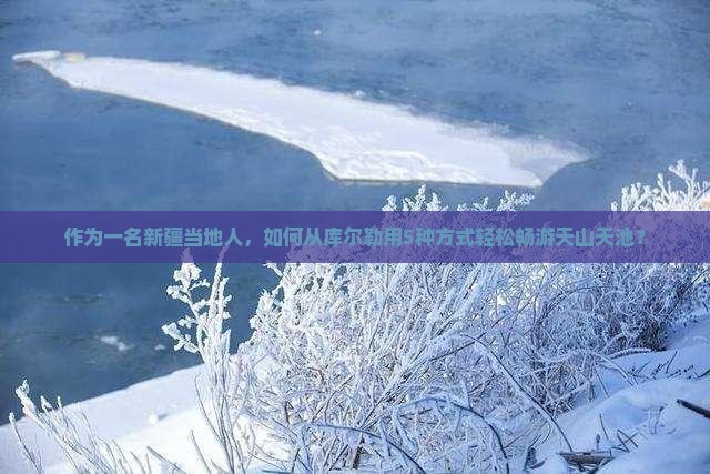 库尔勒去新疆天山天池景点