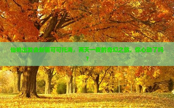 仙桃到新疆可可托海二日游
