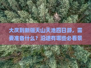 大庆到新疆天山天池四日游