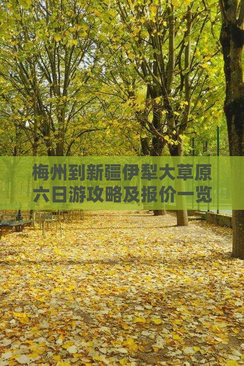 梅州到新疆伊犁大草原六日游 梅州到新疆伊犁大草原六日游