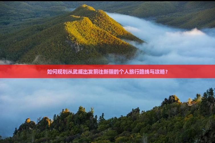 武威去新疆个人游