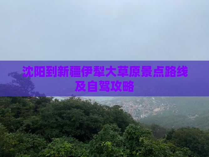 沈阳到新疆伊犁大草原景点