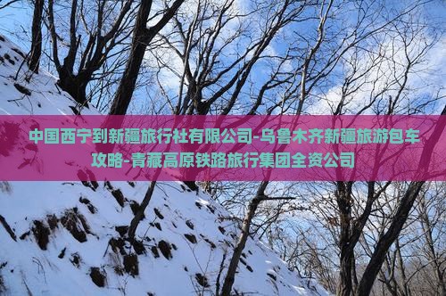 西宁到新疆旅行社
