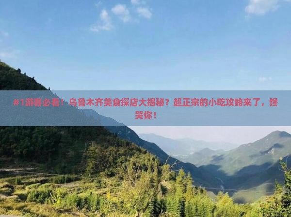 白银去新疆乌鲁木齐旅游小吃
