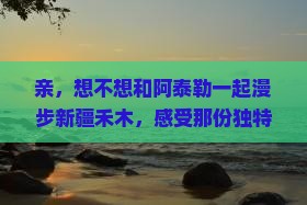阿泰勒到新疆禾木门票