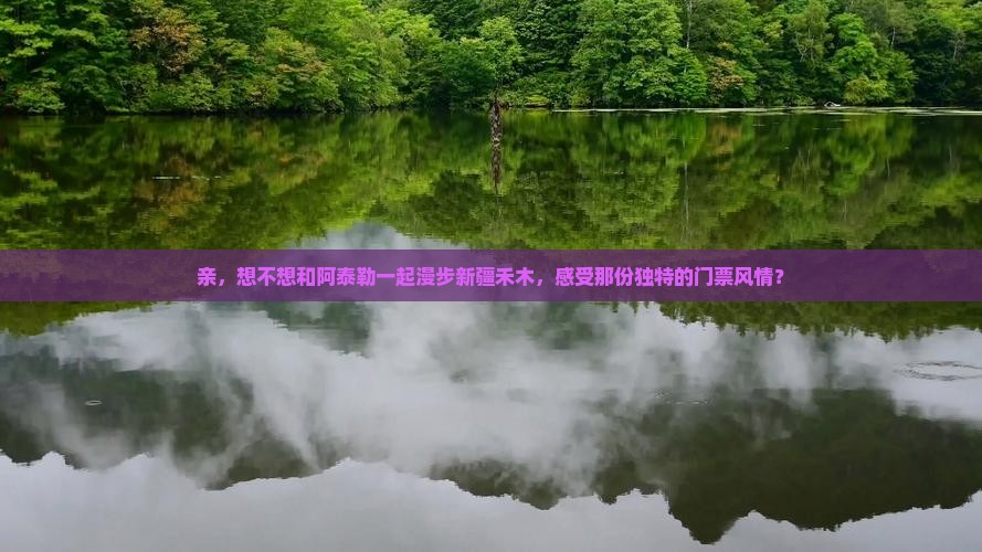 阿泰勒到新疆禾木门票