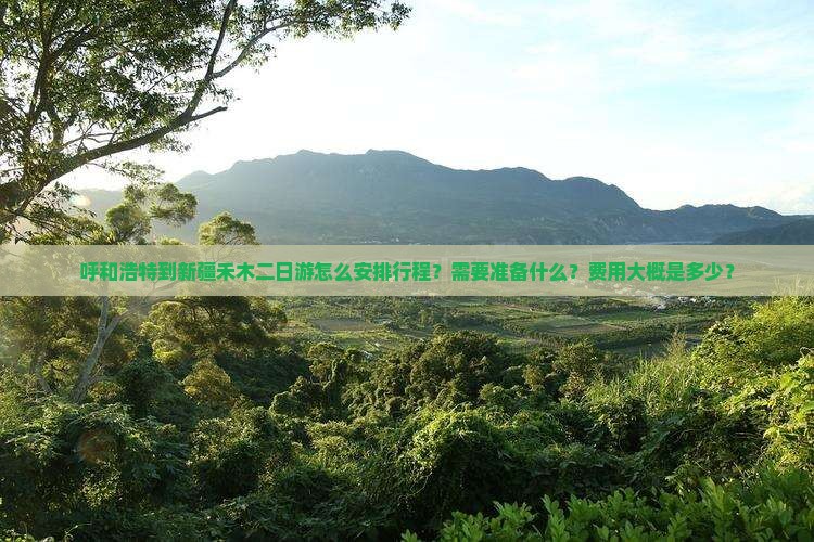 呼和浩特到新疆禾木二日游
