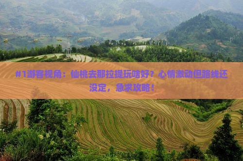 仙桃到新疆那拉提景点