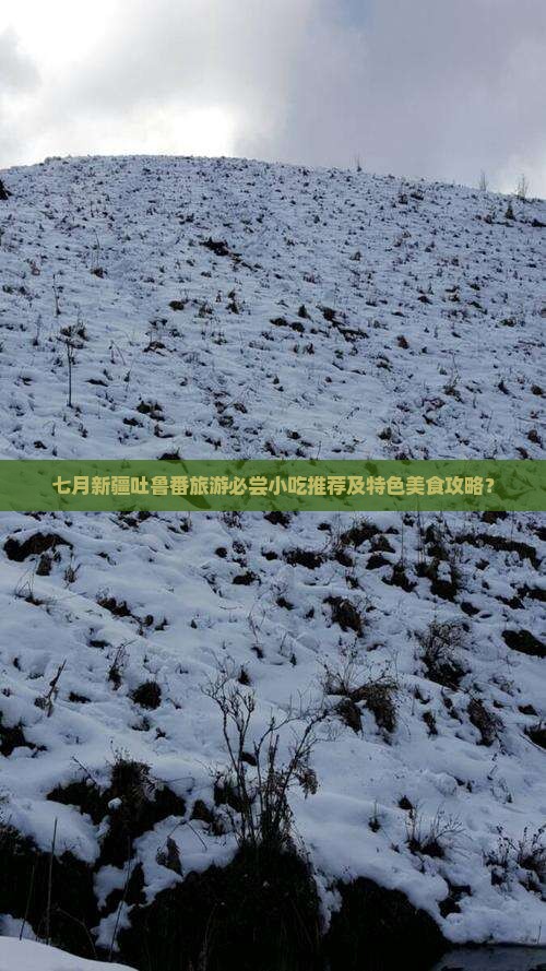 七月到新疆吐鲁番旅游小吃