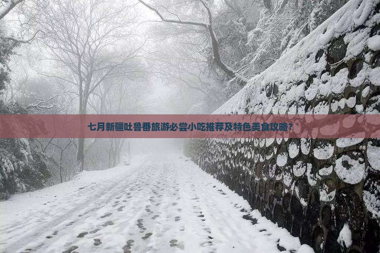 七月到新疆吐鲁番旅游小吃