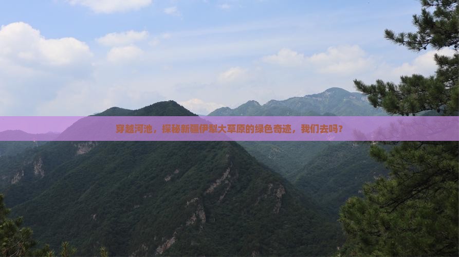 河池去新疆伊犁大草原景点