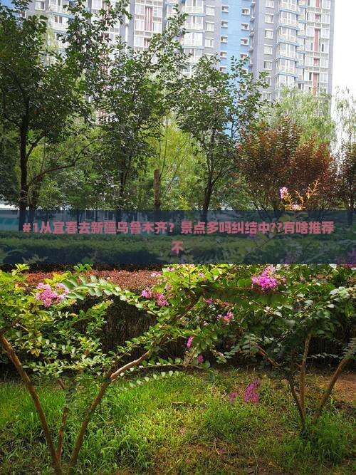 宜春到新疆乌鲁木齐景点