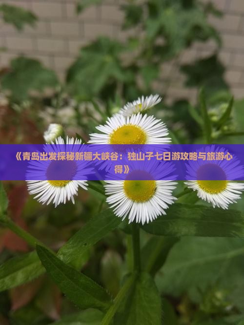 青岛到新疆独山子大峡谷七日游