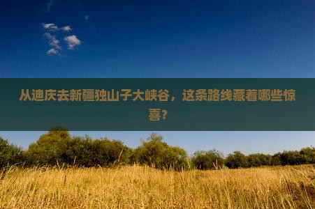 迪庆到新疆独山子大峡谷攻略