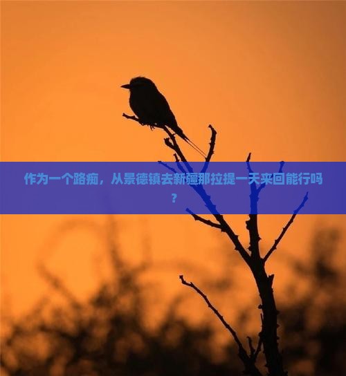 景德镇去新疆那拉提一日