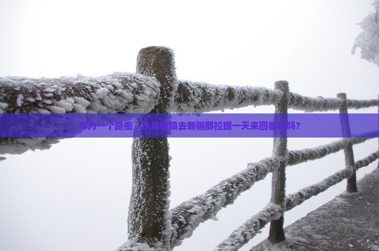 景德镇去新疆那拉提一日