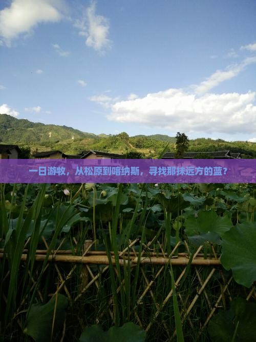 松原到新疆喀纳斯一日